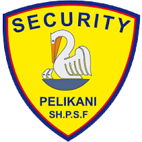 Pelikan Security